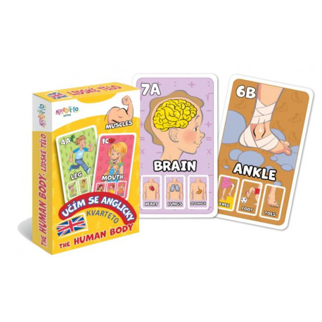 Kvarteto Učím se anglicky - The Human Body