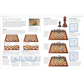 Chess for Beginners