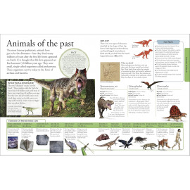 The New Children's Encyclopedia: Packed with thousands of facts, stats, and illustrations