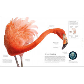 The Science of Animals: Inside their Secret World