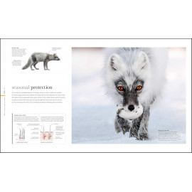 The Science of Animals: Inside their Secret World