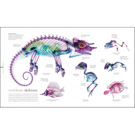 The Science of Animals: Inside their Secret World