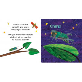 The Very Lonely Firefly's Nighttime Friends: A Touch-and-Feel Book