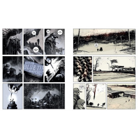 The Road: A Graphic Novel Adaptation