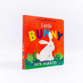 Little Bunny