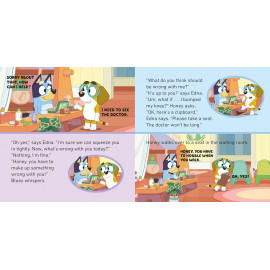 Bluey: The Doctor