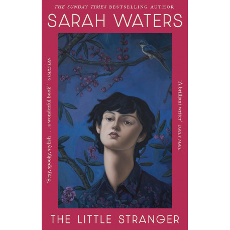 The Little Stranger The Little Stranger