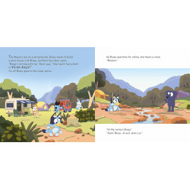 Bluey: Camping