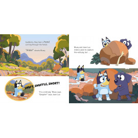 Bluey: Camping