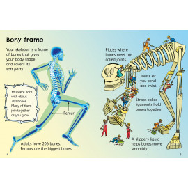 Your Body
