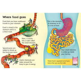 Your Body
