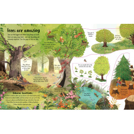 Usborne Lift-the-Flap Trees