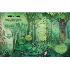 Usborne Lift-the-Flap Trees