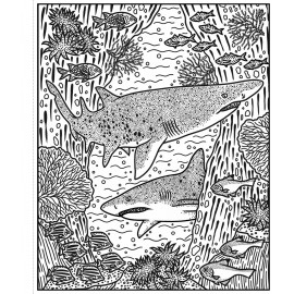 Usborne Sharks Magic Painting Book 