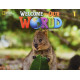 Welcome to Our World 1 Second Edition Student´s Book