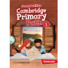 Cambridge Primary Path Second Edition Level 1 Flashcards