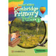 Cambridge Primary Path Second Edition Level 2 Flashcards