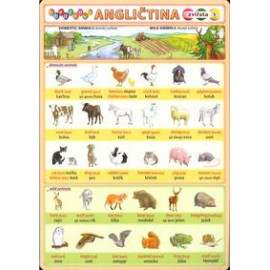 Obrázková angličtina 1 - Zvířata