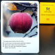 Conversation Cards - Let´s Talk - Idioms and Proverbs