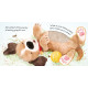 Usborne Touchy Feely Books: There There Little Puppy
