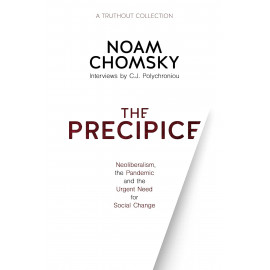 The Precipice: Neoliberalism, the Pandemic and the Urgent Need for Social Change