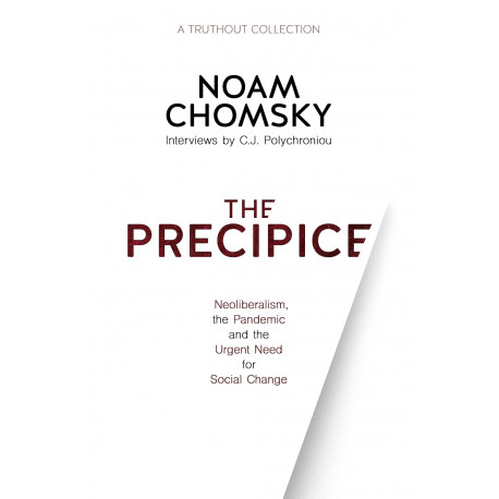The Precipice: Neoliberalism, the Pandemic and the Urgent Need for Social Change