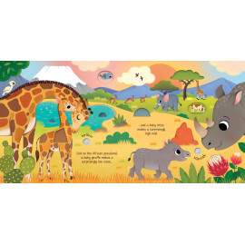 Usborne Sound Books:  Baby Animal Sounds