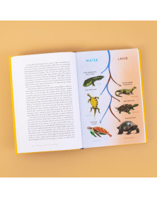 The Genetic Book of the Dead: A Darwinian Reverie