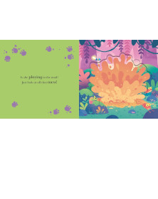 Ten Minutes to Bed: Where's Little Koala?