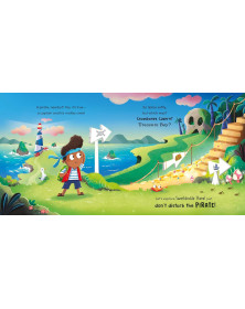 Don’t Disturb The Pirate