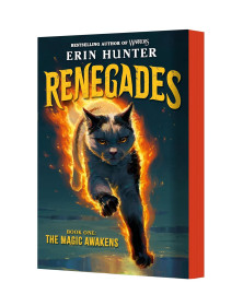 Renegades 1: The Magic Awakens