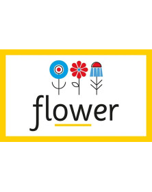 Bright Sparks Flash Cards - Phonics