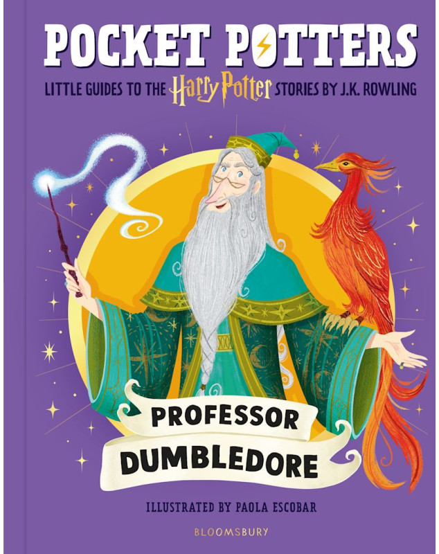 Professor Dumbledore (Pocket Potters)