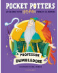 Professor Dumbledore (Pocket Potters)