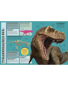 1,000 Curious Questions