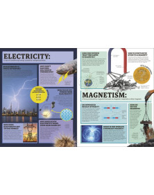 1,000 Curious Questions