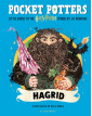 Hagrid (Pocket Potters)