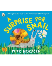 A Surprise for Snail