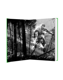 Piper at the Gates of Dusk