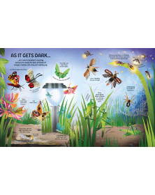 Usborne  See Inside Bugs and Butterflies