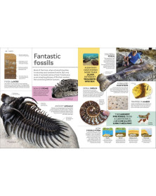 Eyewitness Encyclopedia of Everything