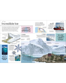 Eyewitness Encyclopedia of Everything