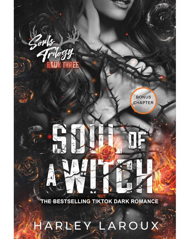 Soul of a Witch  (Souls Trilogy 3)