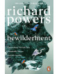 Bewilderment