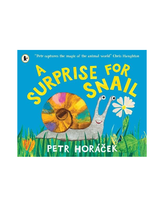 A Surprise for Snail