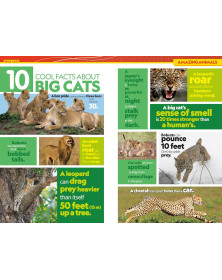 National Geographic Kids Almanac 2027