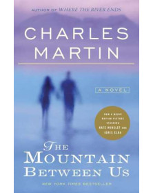 The Mountain Between Us