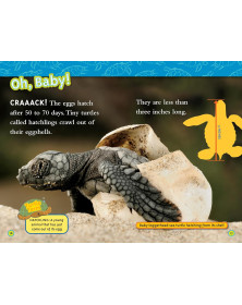 Superstars of the Sea Collection (National Geographic Kids Readers, Level 2)