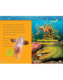 Superstars of the Sea Collection (National Geographic Kids Readers, Level 2)