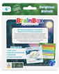 BrainBox Pocket Dangerous Animals